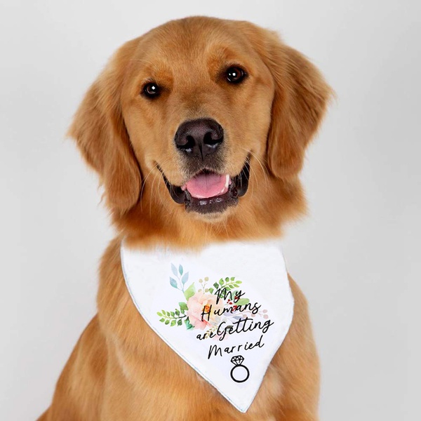 "My Humang are Getting Married" Bib For Pets